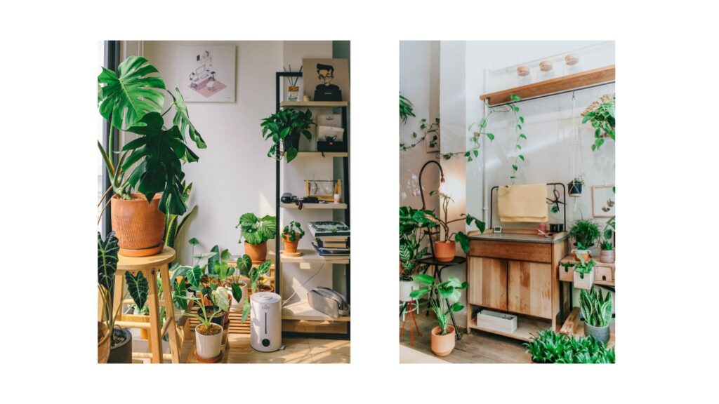 Inluir muchas plantas en tu espacio de trabajo