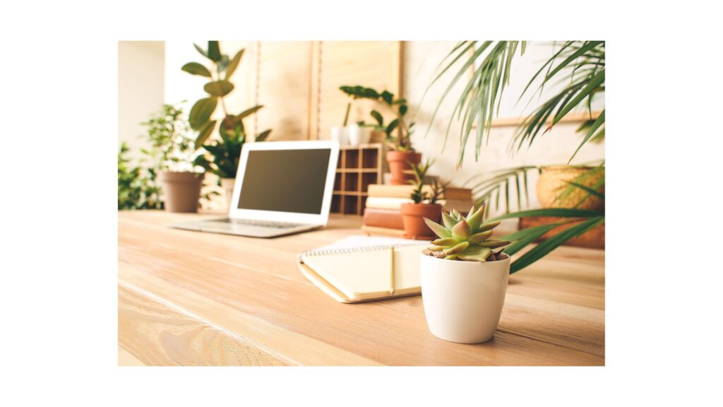 plantas para trabajar mejor