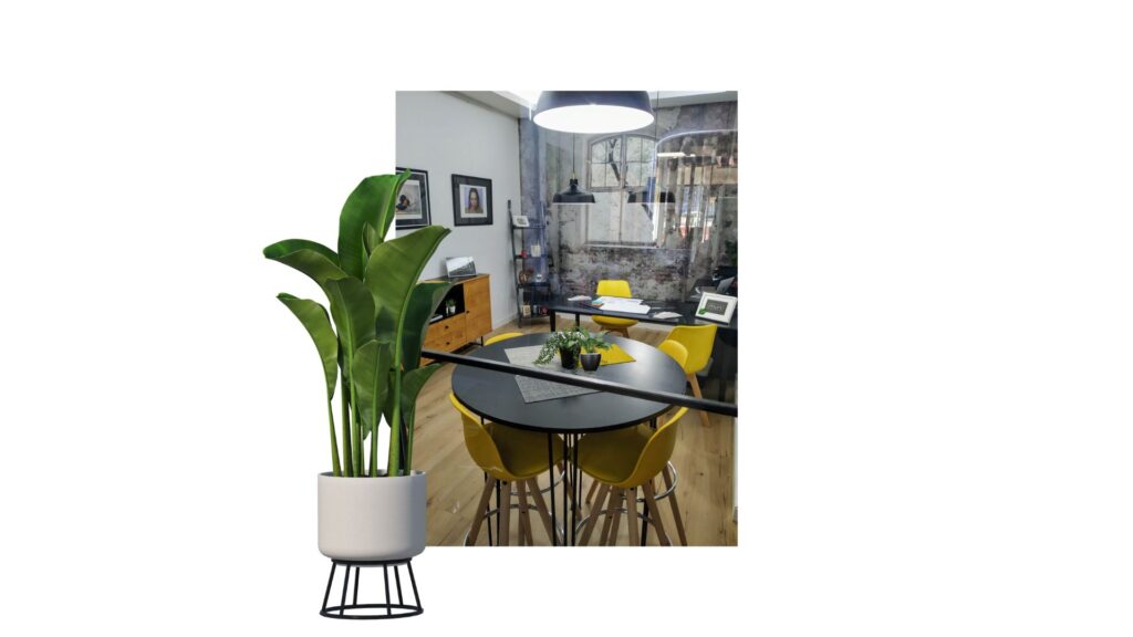 Plantas en despachos