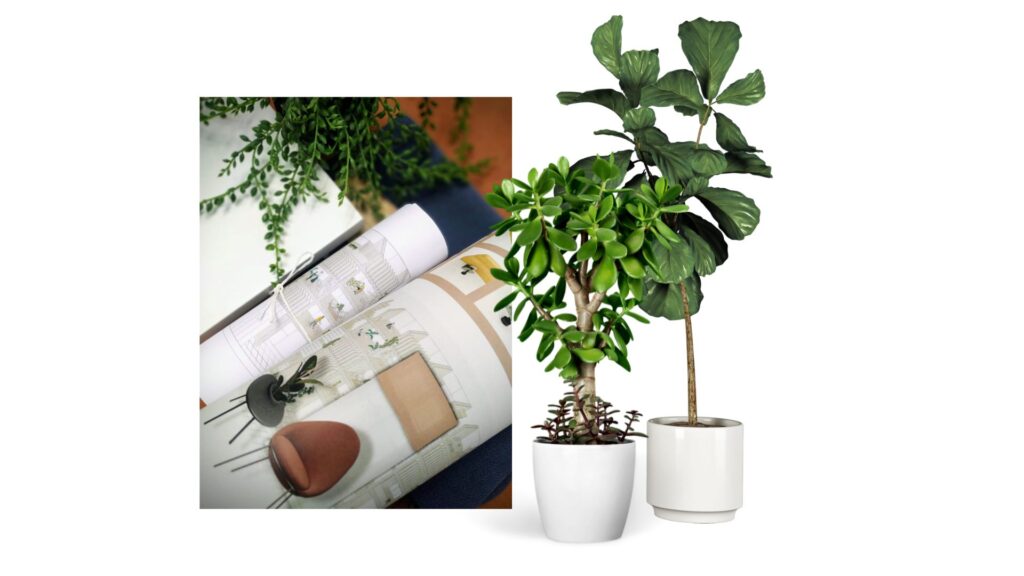 plantas para oficinas en papel decorativo 
