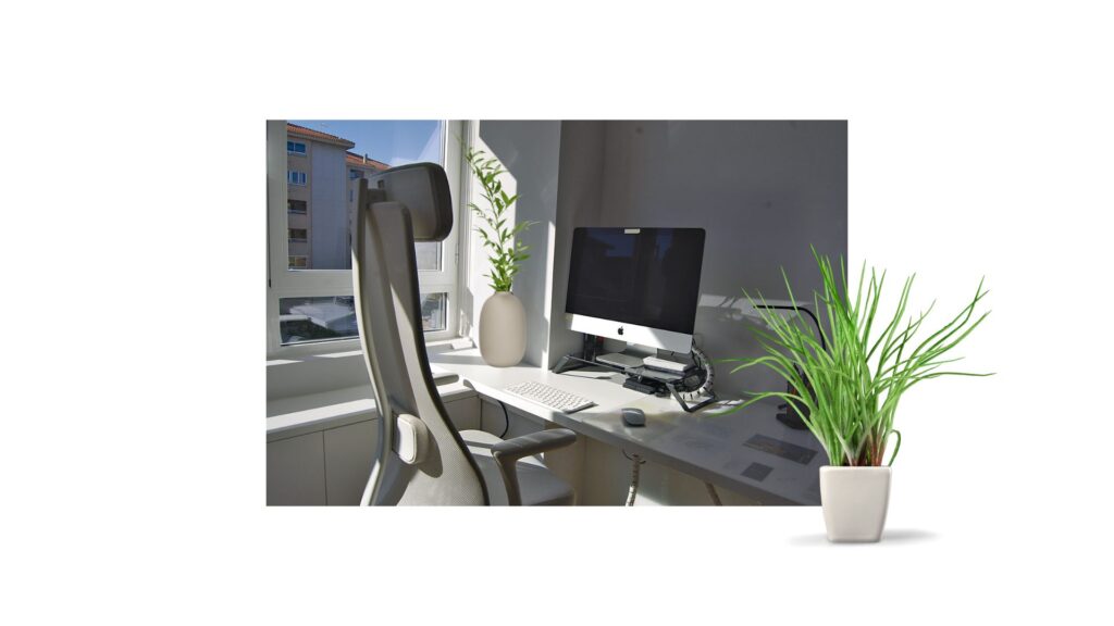 plantas en espacios de teletrabajo