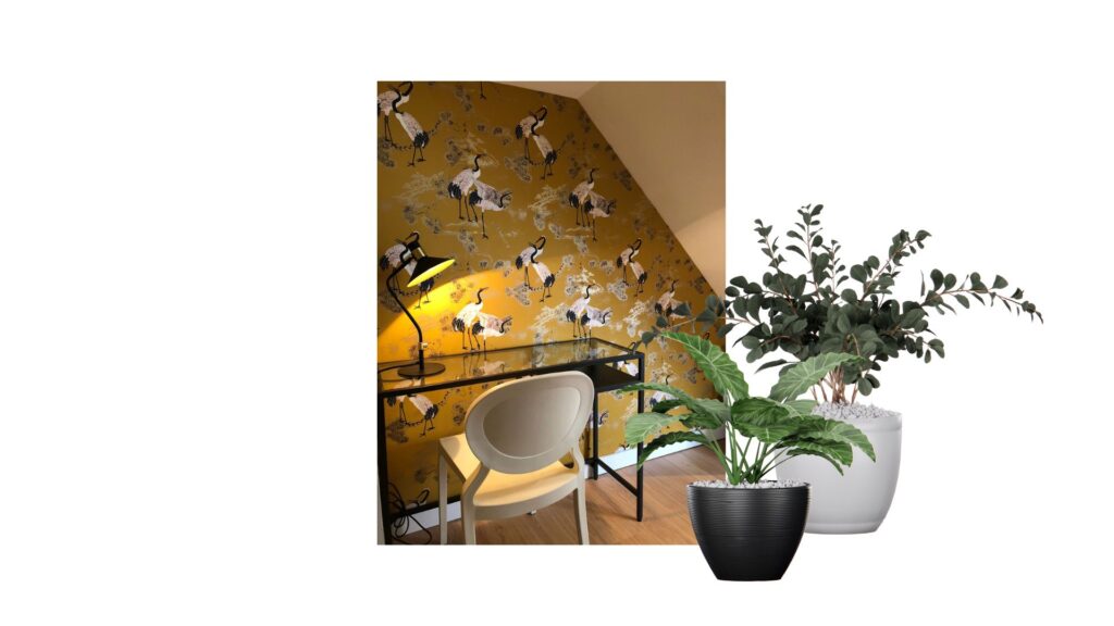 Decorar con plantas rincones de trabajo